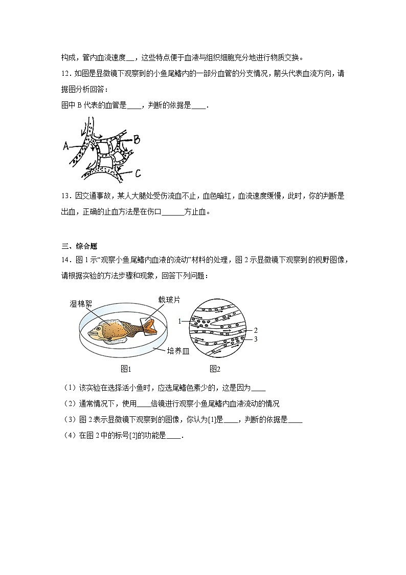 4.4.2《血流的管道-血管》课时练习第3页