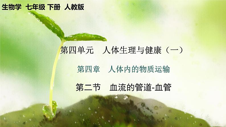 【核心素养】人教版初中生物七年级下册4.4.2《血流的管道-血管》课件第1页