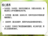 【核心素養(yǎng)】人教版初中生物七年級(jí)下冊(cè)4.4.2《血流的管道-血管》課件＋教案(含教學(xué)反思)+課時(shí)練習(xí)+學(xué)案