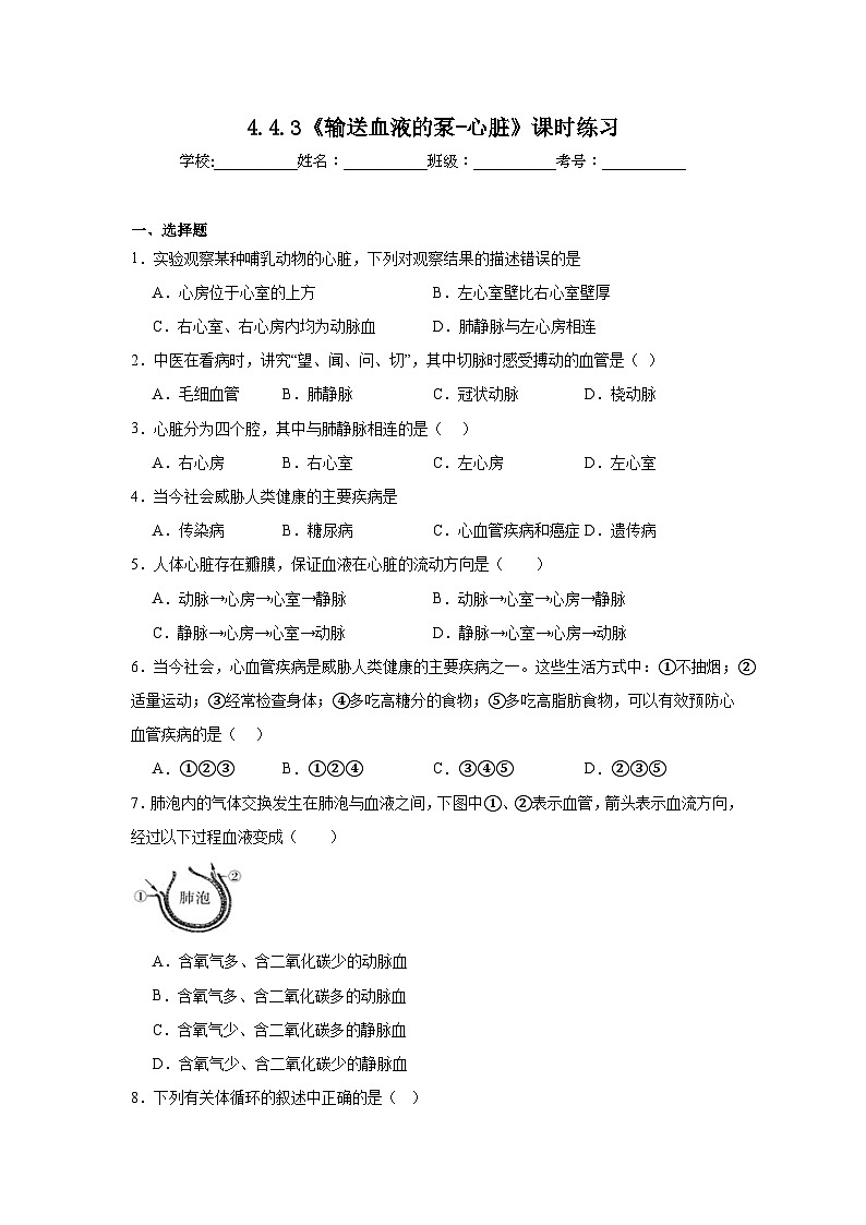 4.4.3《输送血液的泵-心脏》课时练习第1页