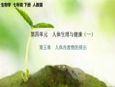【核心素養(yǎng)】人教版初中生物七年級下冊4.5《人體內(nèi)廢物的排出》課件＋教案(含教學(xué)反思)+課時練習(xí)+學(xué)案