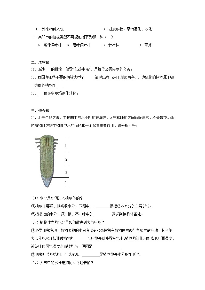 3.2.4《植物在自然界中的作用》课时练习第2页