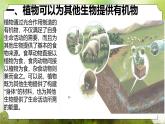 【核心素養(yǎng)】人教版初中生物七年級下冊3.2.4《植物在自然界中的作用》課件＋課時(shí)練習(xí)+教案（含教學(xué)反思）