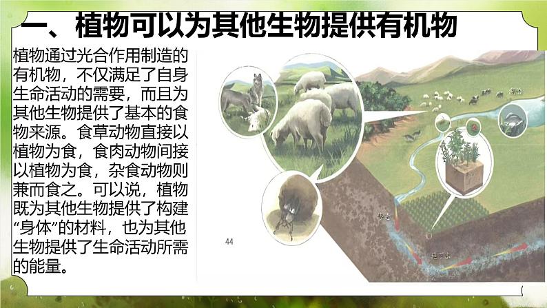 【核心素养】人教版初中生物七年级下册3.2.4《植物在自然界中的作用》课件第5页