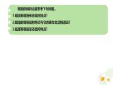 冀少版（2024）七上生物2.1.3.1无脊椎动物1 课件