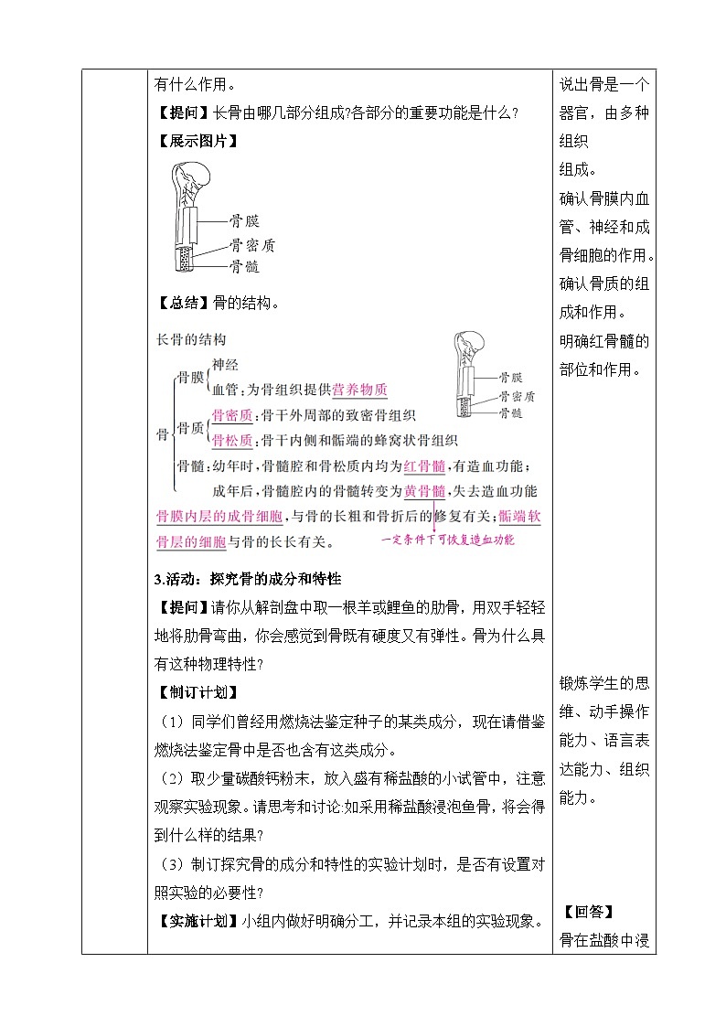 北师大版（2024）七年级下册生物第11章《人体的运动》教案（共3节）第3页