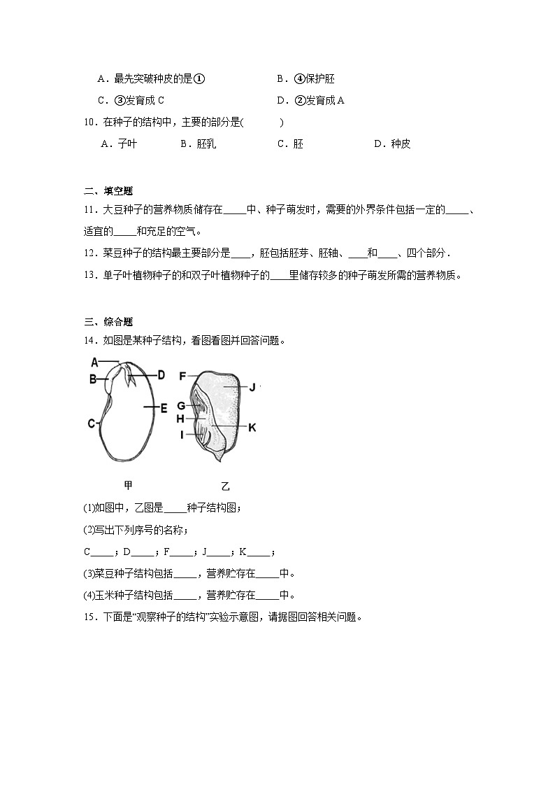 3.1.1《种子的萌发》 课时练习第3页