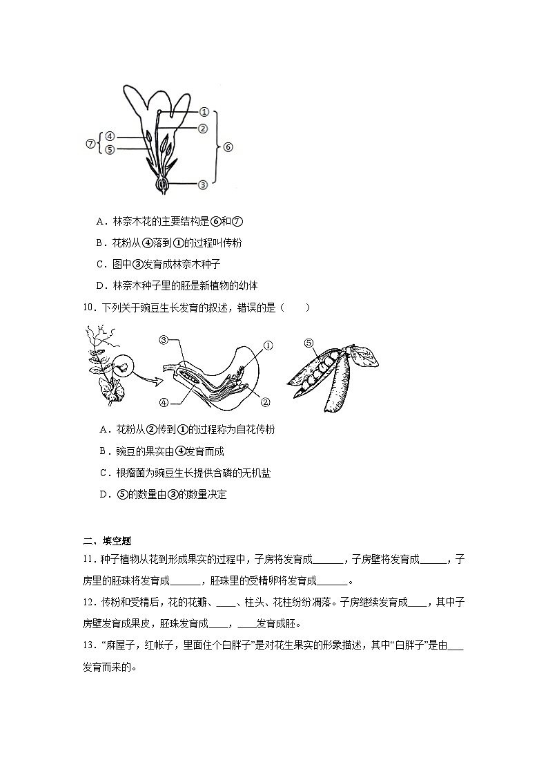 3.1.3  《开花和结果》课时练习第3页