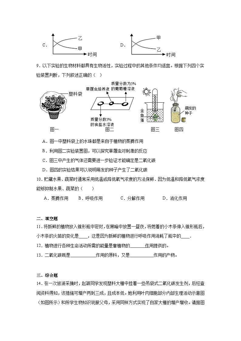3.2.3《呼吸作用》课时练习第3页
