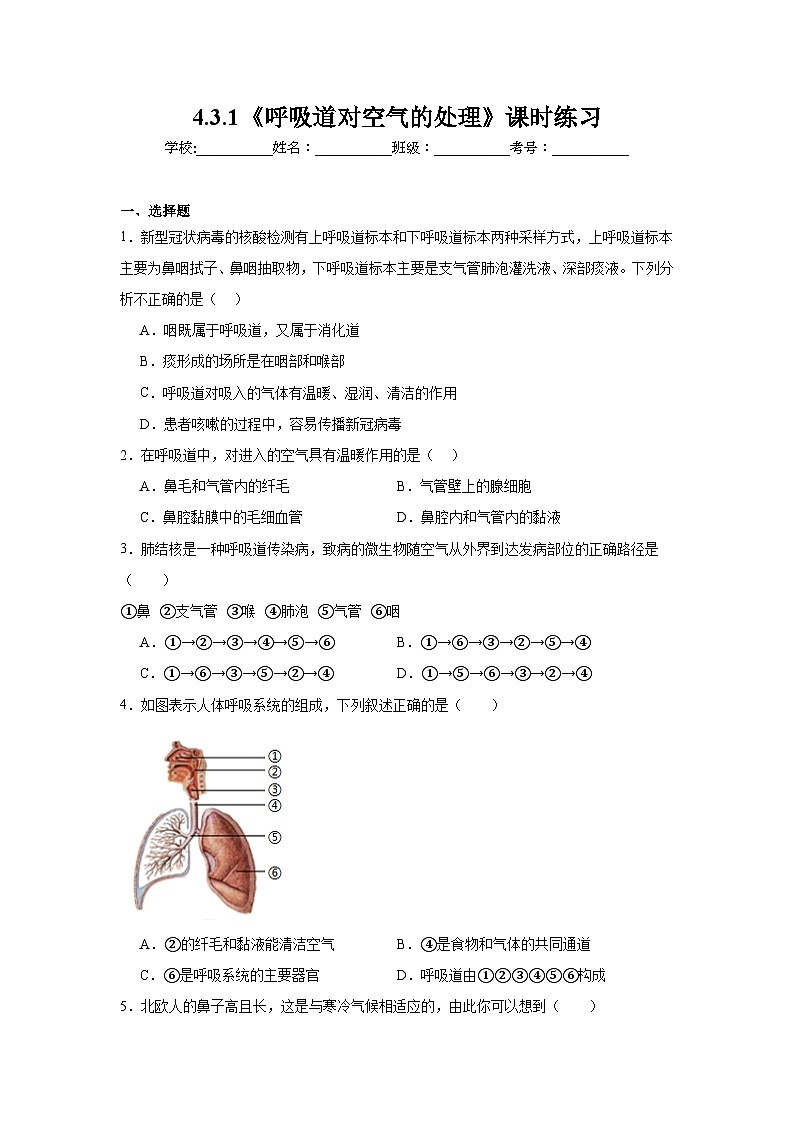 4.3.1《呼吸道对空气的处理》课时练习第1页