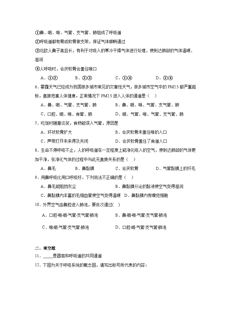 4.3.1《呼吸道对空气的处理》课时练习第2页