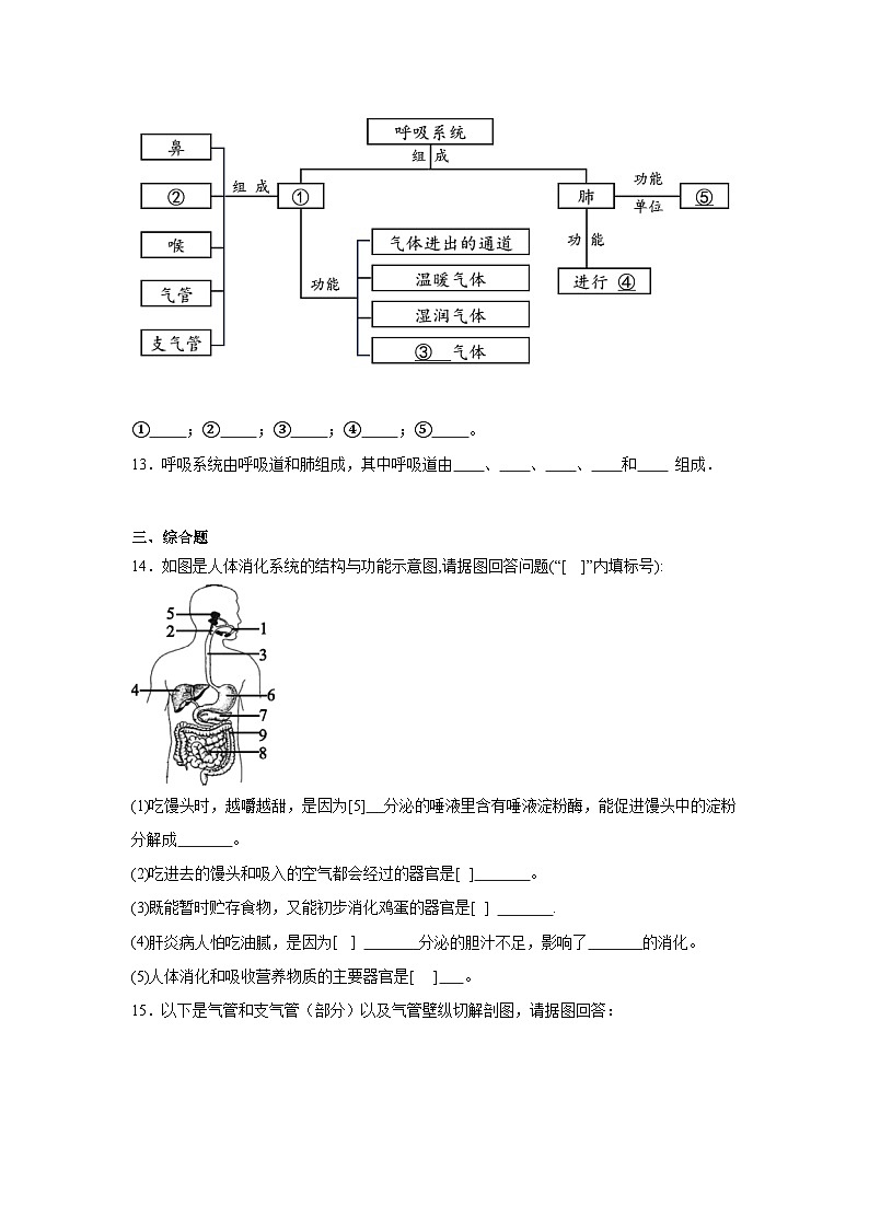 4.3.1《呼吸道对空气的处理》课时练习第3页
