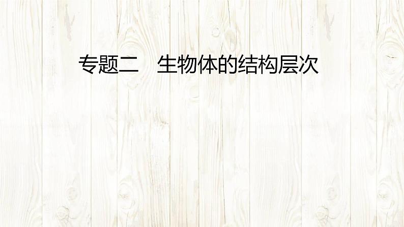 2025年中考生物总复习知识点课件第4页