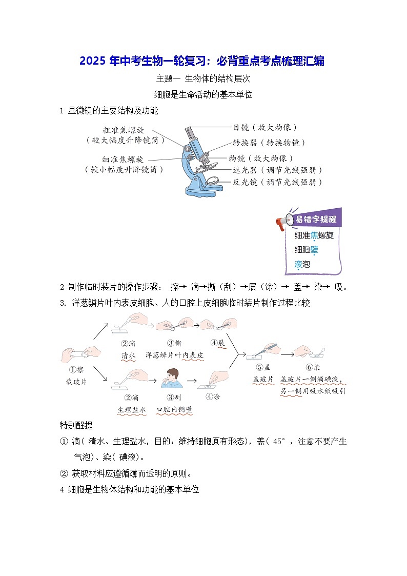 2025年中考生物一轮复习：必背重点考点梳理汇编 学案第1页