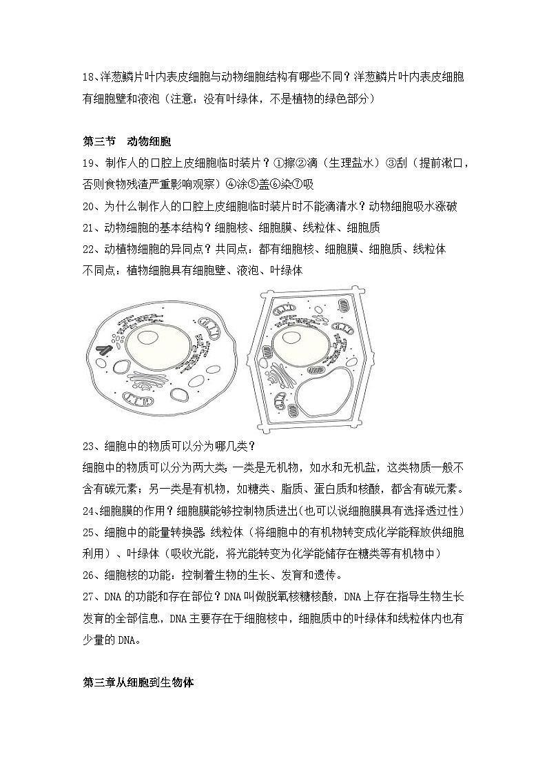 人教版（2024）生物七年级上册期末复习重点知识点提纲 学案第3页