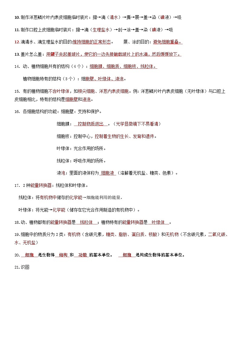 人教版（2024新版）生物七年级上册期末复习必背重点知识点提纲 学案第2页