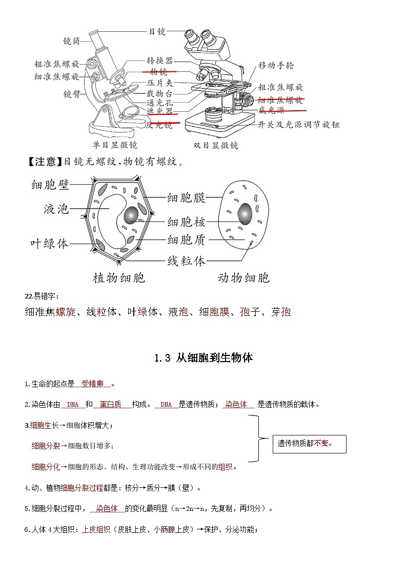 人教版（2024新版）生物七年级上册期末复习必背重点知识点提纲 学案第3页