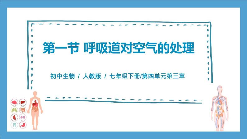 人教版初中生物七年级下册4.3.1《呼吸道对空气的处理》课件第1页