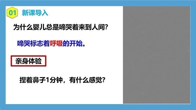 人教版初中生物七年级下册4.3.1《呼吸道对空气的处理》课件第3页