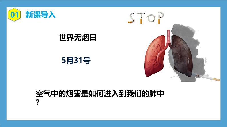 人教版初中生物七年级下册4.3.2《发生在肺内的气体交换》课件第3页