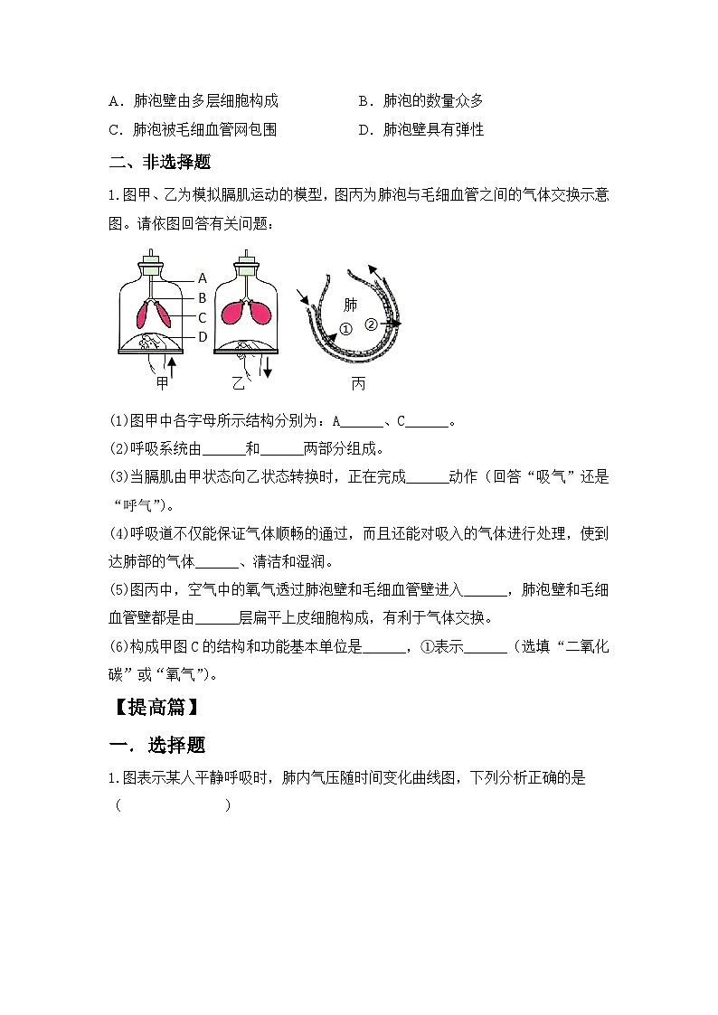 人教版初中生物七年级下册4.3.2《发生在肺内的气体交换》同步练习(含答案）第3页