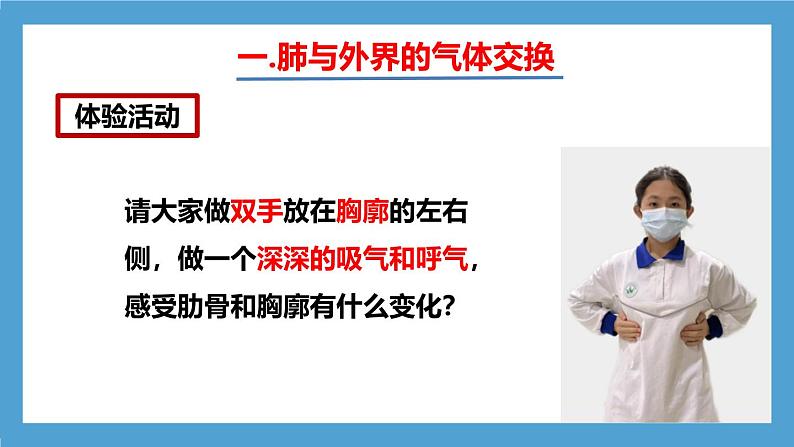 人教版初中生物七年级下册4.3.2《发生在肺内的气体交换》课件第8页