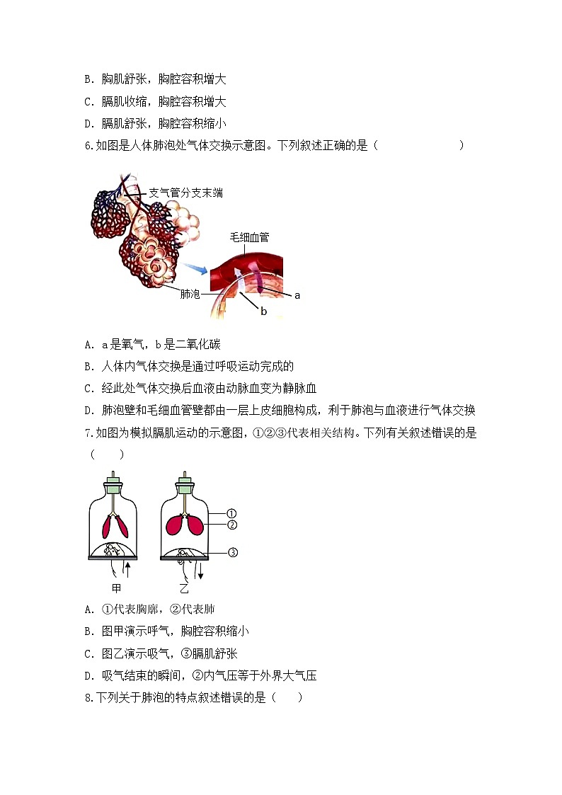 人教版初中生物七年级下册4.3.2《发生在肺内的气体交换》同步练习(含答案）第2页