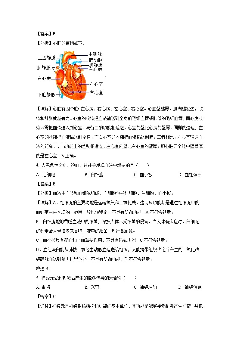 2024-2025学年江苏省扬州市梅岭集团八年级上学期期末生物试卷（解析版）第2页