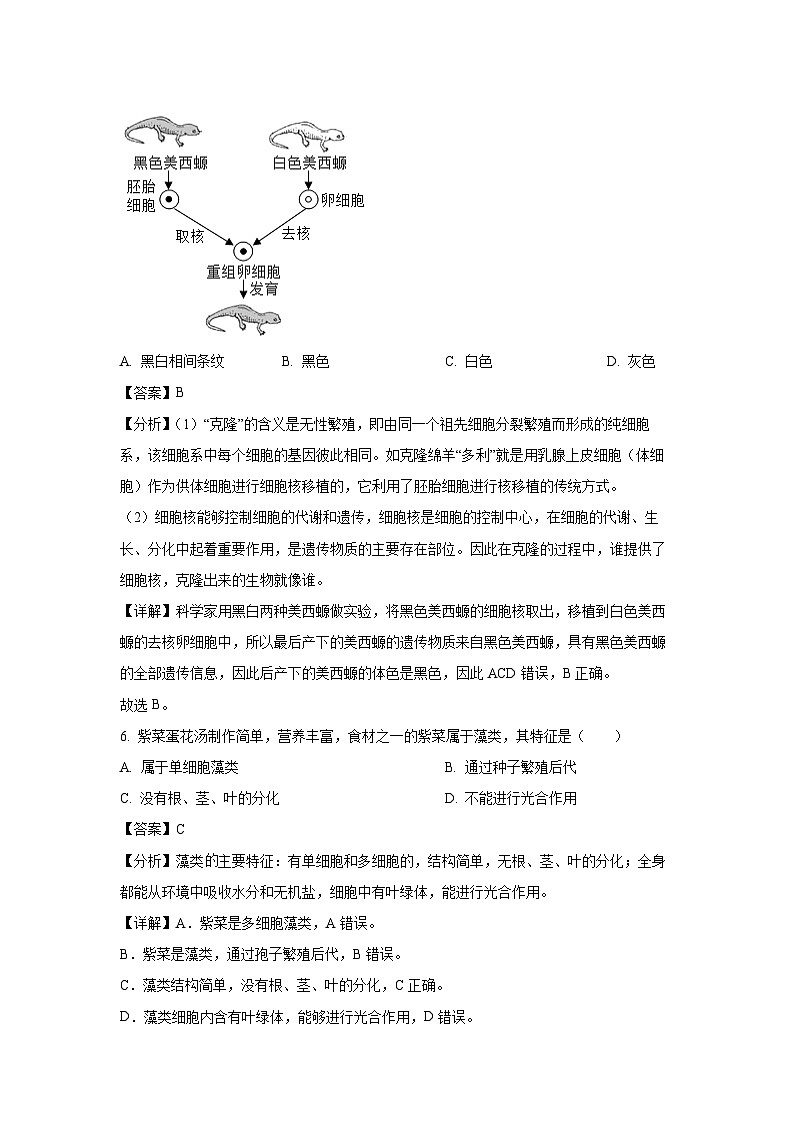 2024-2025学年广西防城港市七年级上学期期末生物试卷（解析版）第3页