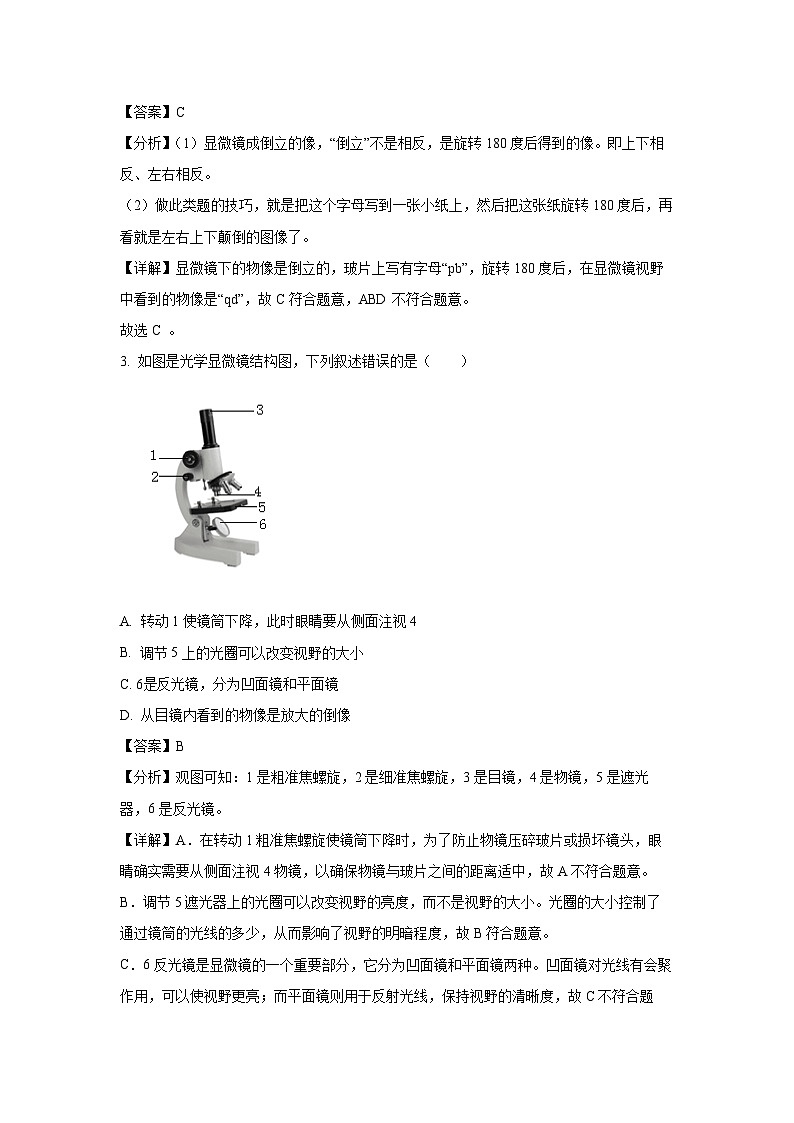 2024-2025学年广西梧州市七年级上学期期末生物试卷（解析版）第2页
