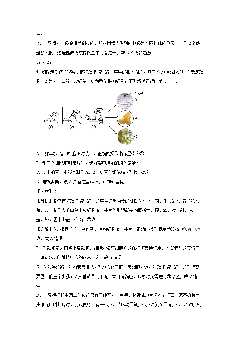 2024-2025学年广西梧州市七年级上学期期末生物试卷（解析版）第3页