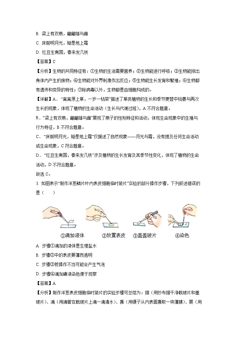 2024-2025学年广西南宁市七年级上学期期末生物试卷（解析版）第2页