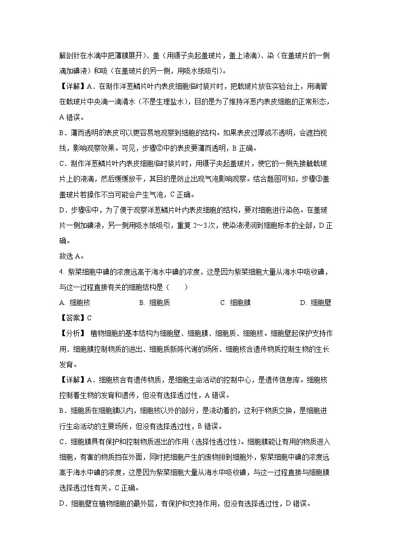 2024-2025学年广西南宁市七年级上学期期末生物试卷（解析版）第3页