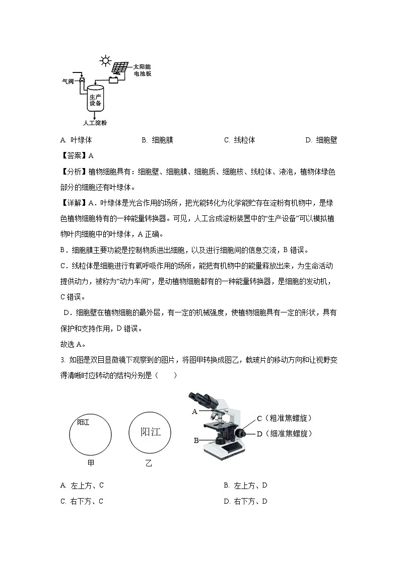 2024-2025学年广东省阳江市七年级上学期期末生物试卷（解析版）第2页