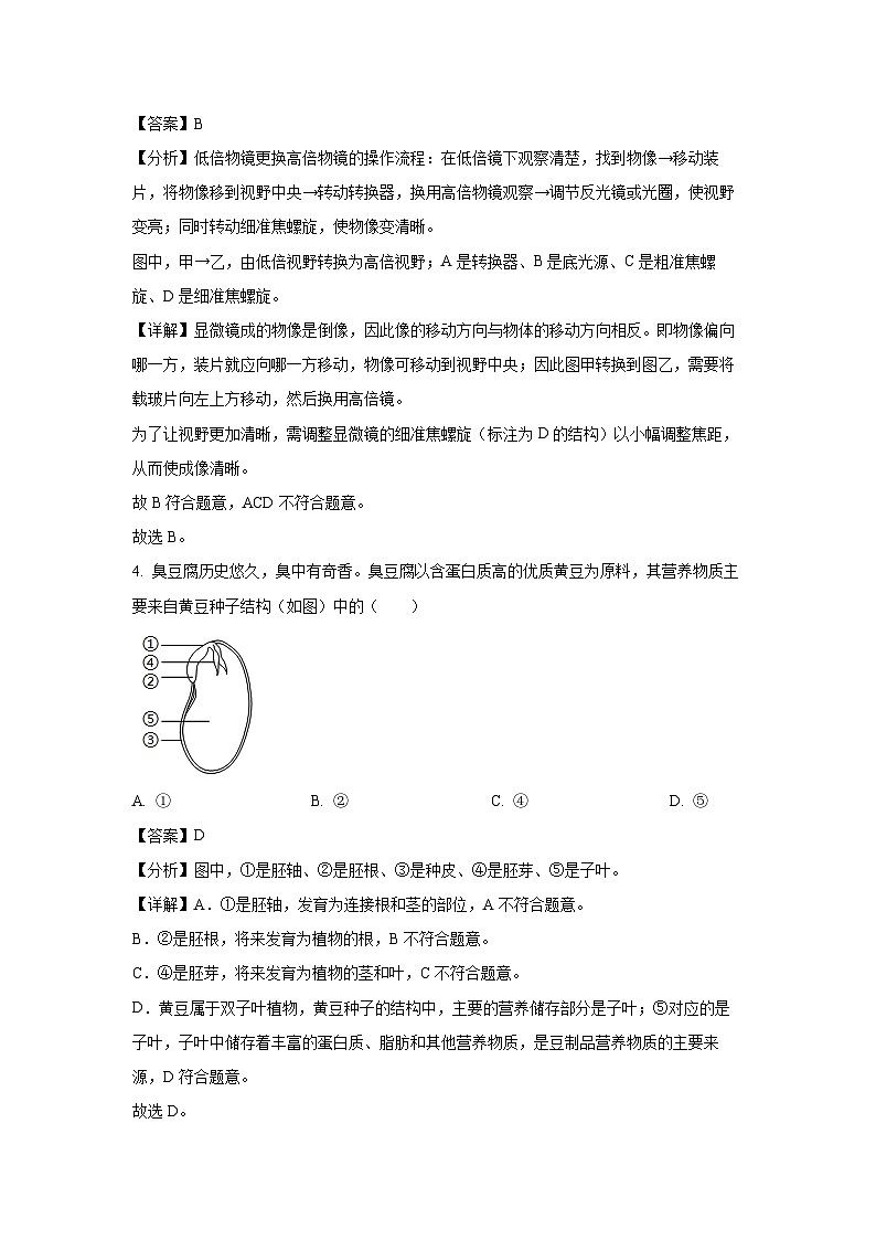 2024-2025学年广东省阳江市七年级上学期期末生物试卷（解析版）第3页