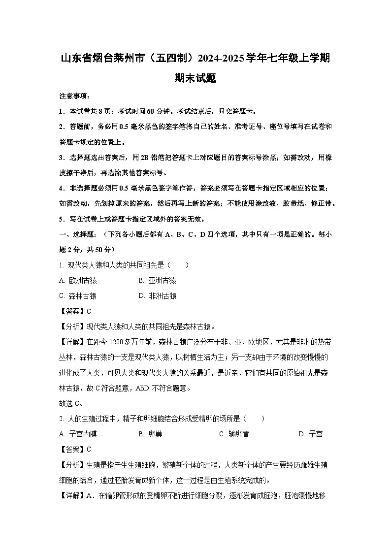 2024-2025学年山东省烟台莱州市（五四制）七年级上学期期末生物试卷（解析版）第1页