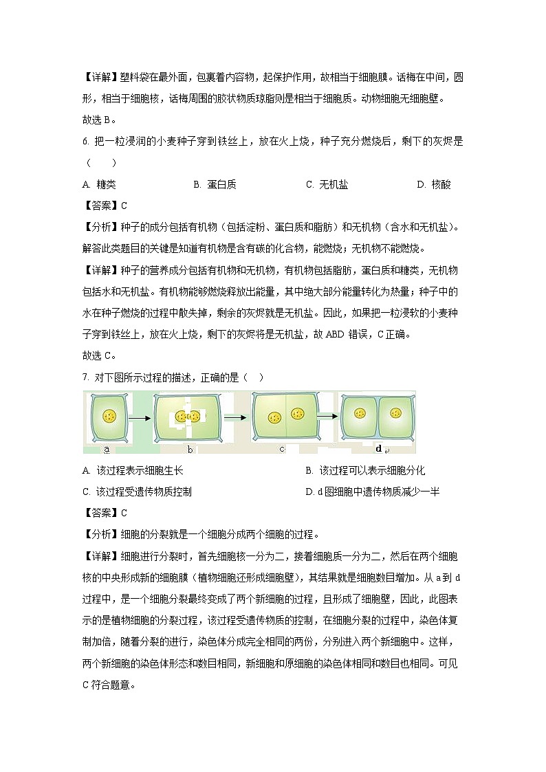 天津市河北区2024—2025学年七年级上学期期末生物试卷（解析版）第3页