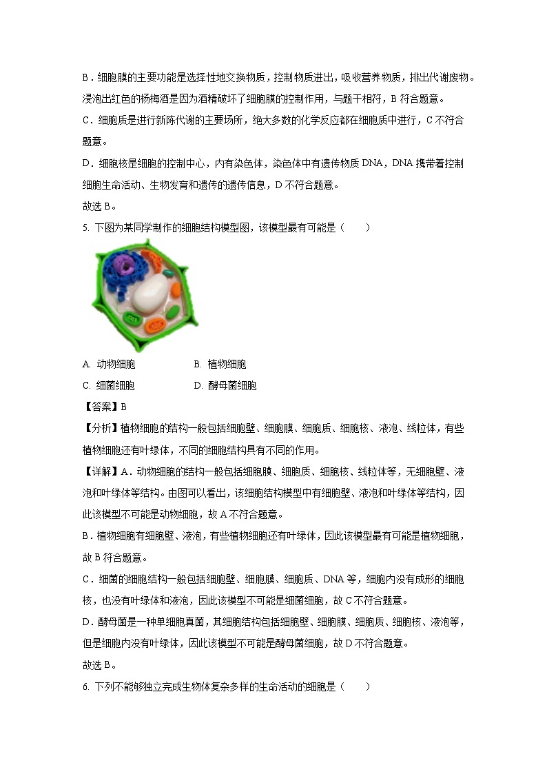 2024-2025学年四川省自贡市七年级上学期期末生物试卷（解析版）第3页