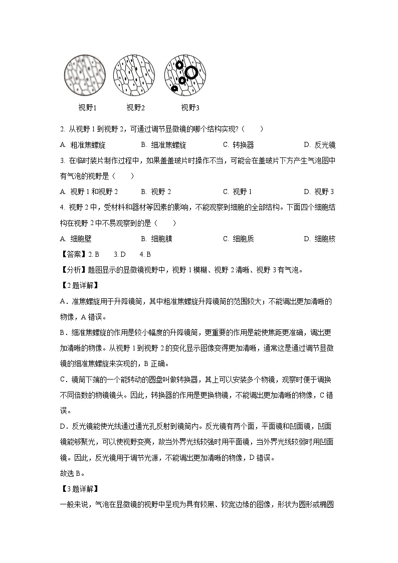 2024-2025学年四川省眉山市七年级上学期期末生物试卷（解析版）第2页