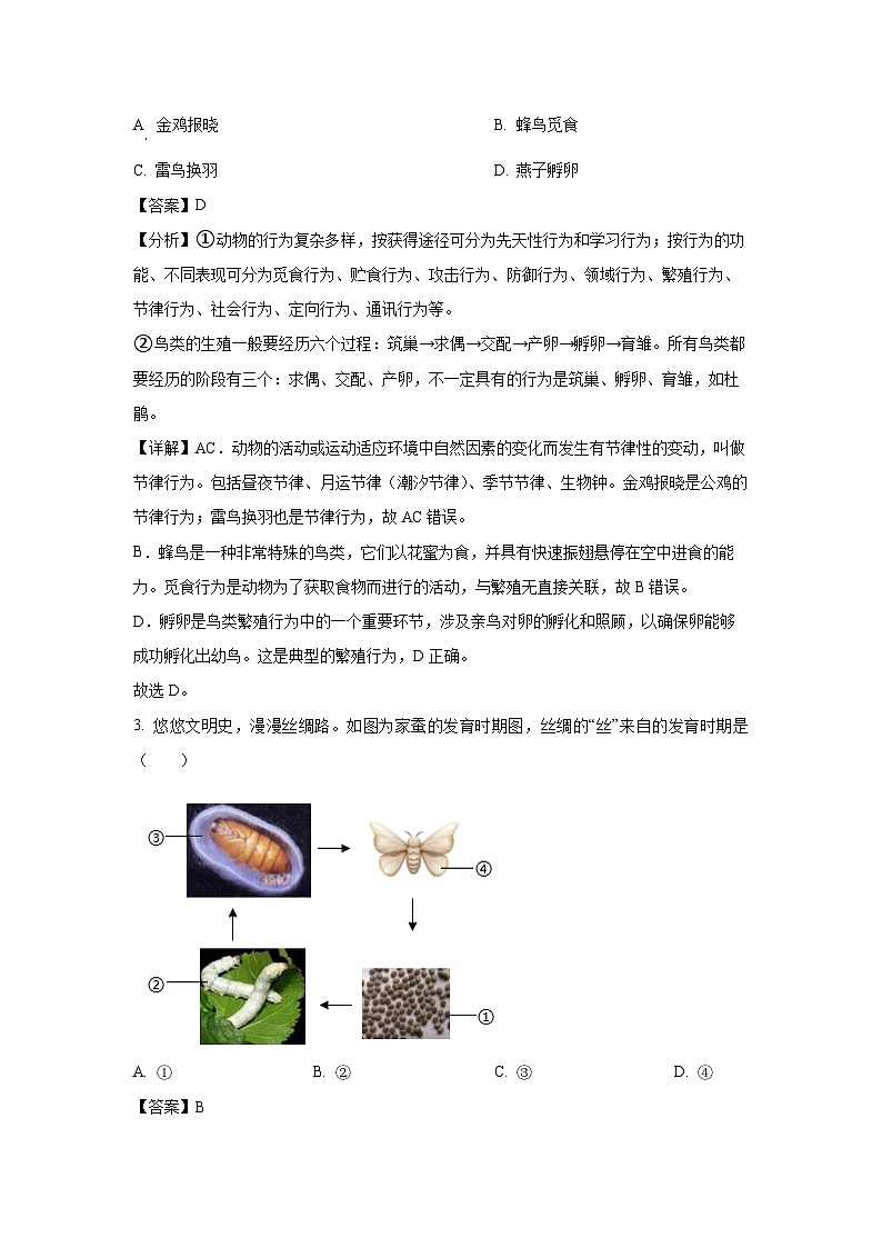 2024-2025学年吉林省长春市汽开区八年级上学期期末生物试卷（解析版）第2页