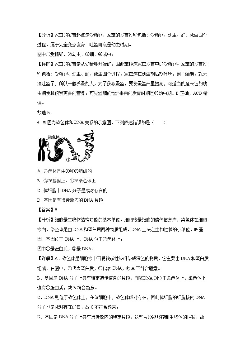 2024-2025学年吉林省长春市汽开区八年级上学期期末生物试卷（解析版）第3页