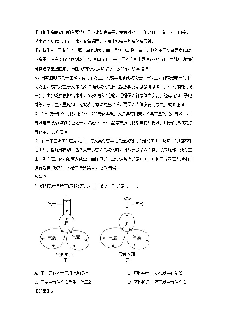 2024-2025学年吉林省长春市宽城区八年级上学期期末生物试卷（解析版）第2页