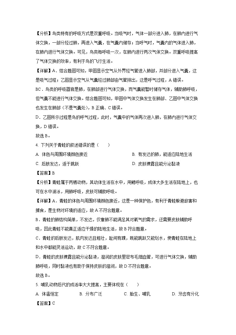 2024-2025学年吉林省长春市宽城区八年级上学期期末生物试卷（解析版）第3页