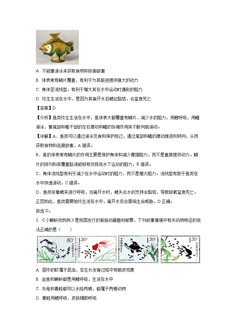 2024-2025学年吉林省松原市宁江区八年级上学期期末生物试卷（解析版）第3页