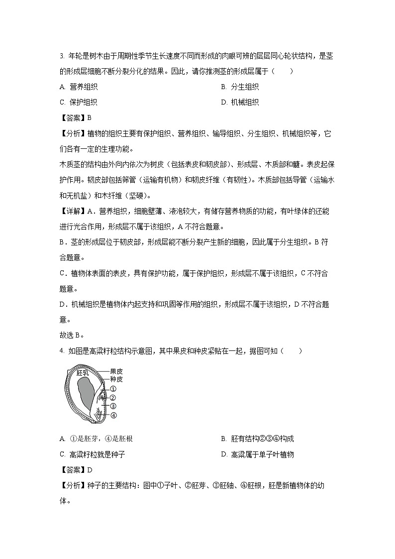 2024-2025学年内蒙古鄂尔多斯市伊金霍洛旗七年级上学期期末生物试卷（解析版）第3页