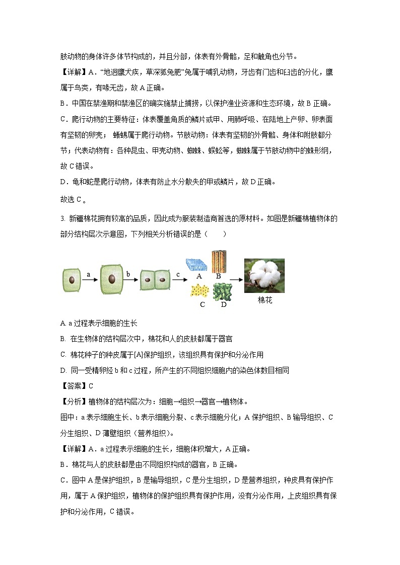 2024-2025学年内蒙古呼伦贝尔市鄂伦春自治旗七年级上学期期末生物试卷（解析版）第2页