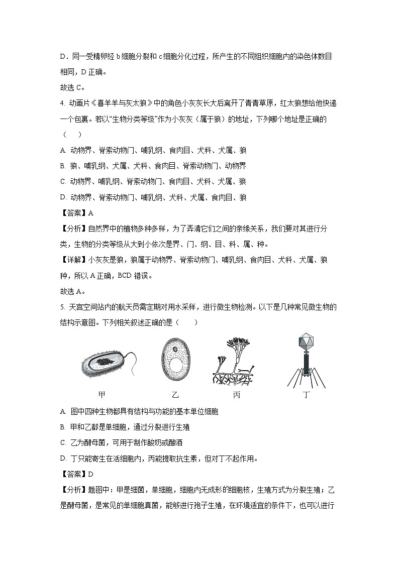 2024-2025学年内蒙古呼伦贝尔市鄂伦春自治旗七年级上学期期末生物试卷（解析版）第3页