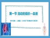【核心素養(yǎng)目標】人教版初中生物七年級下冊4.4.1《流動的組織—血液》課件+教案+習題