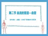 【核心素養(yǎng)目標】人教版初中生物七年級下冊4.4.2《血流的管道—血管》課件+教案+習題