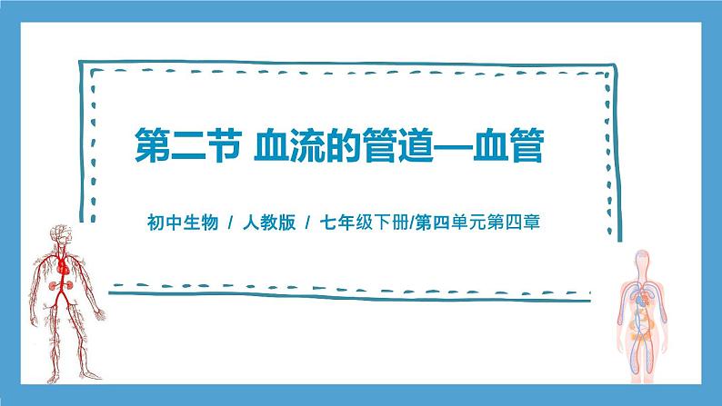 人教版初中生物七年级下册4.4.2《血流的管道—血管》课件第1页